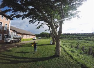 milk farm du lich he da lat