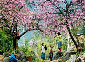 Cẩm nang du lịch Sapa tự túc sống ảo, ở đâu, ăn gì?