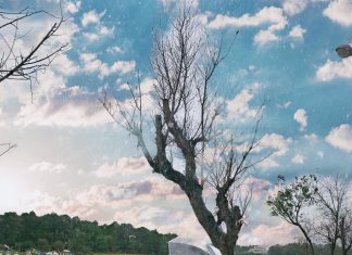 Du lịch Đà Lạt Mùa Thu có gì lại khiến người ta Mê đến vậy? du lich da lat mua thu