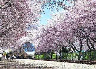 Du lịch Hàn Quốc Mùa Thu chưa bao giờ “hết hot”đối với du khách Tour Han Quoc mua thu